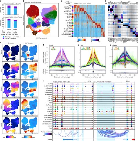 ArchR enables comprehensive analysis of massive-scale scATAC-seq ...