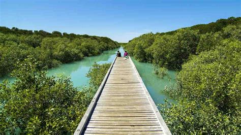 ULTIMATE GUIDE - 12 Things to Do in Broome, Western Australia