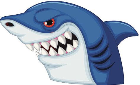 shark head clipart 20 free Cliparts | Download images on Clipground 2023