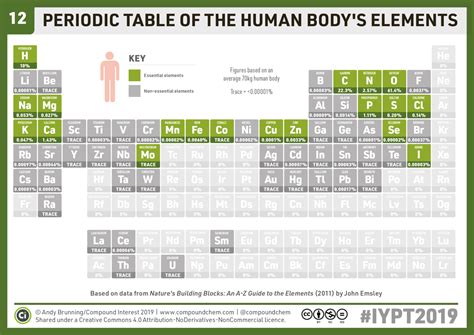 #ChemistryAdvent #IYPT2019 Day 12: A periodic table of the human body’s ...