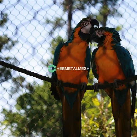 The Importance of Enrichment in Zoo Enclosures