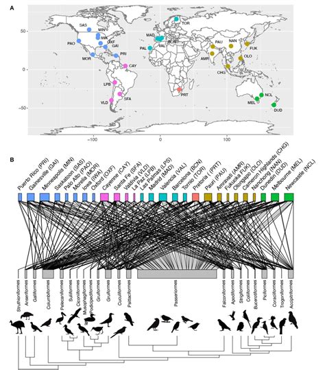 Figure 3 from Brain Size and Life History Interact to Predict Urban Tolerance in Birds ...