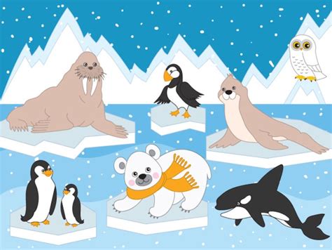 Arctic Animals Clipart Digital Vector Arctic Winter Ice - Etsy