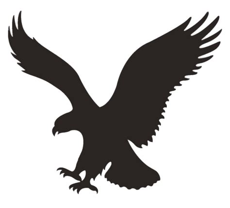 American Eagle Outfitters Bird transparent PNG - StickPNG