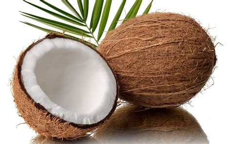 Coconut India (தேங்காய்) - Vegetables & Fruits | Komalas Vegemart – Online Grocery Delivery