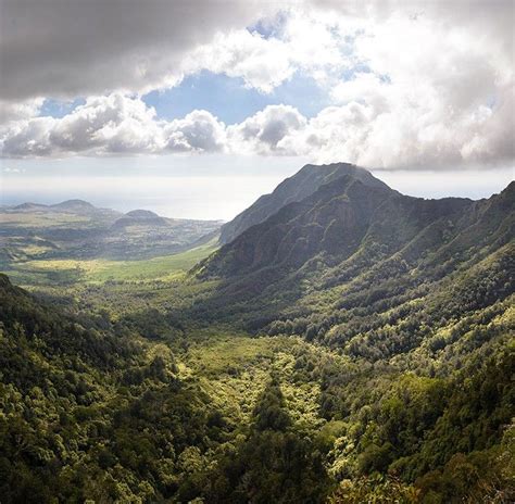 Mount Ka’ala: Hiking to the Top of Oahu (two approaches, check it out before you go) Mountain ...