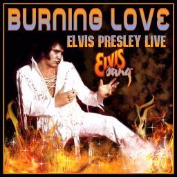 ELVIS PRESLEY - On Tour - 70's - Burning Love - ELVIS LIVE by ViolaPres and CillaPris on Smule ...