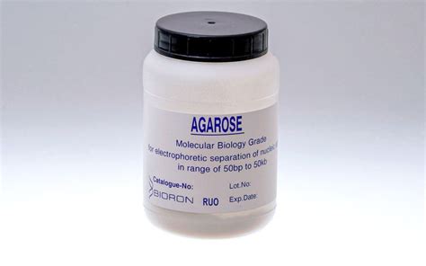 Agarose, Molecular Biology Grade – BIORON GmbH