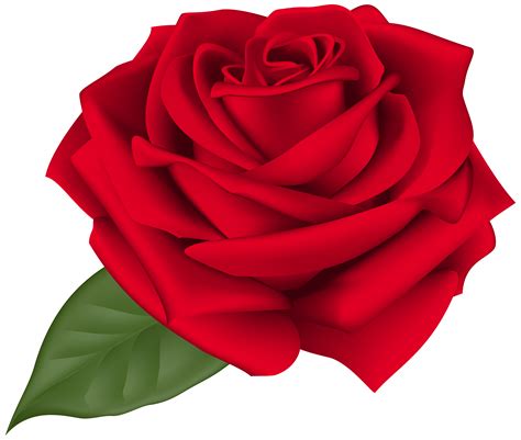 Rose red clipart 20 free Cliparts | Download images on Clipground 2024