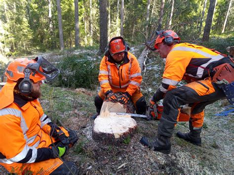 Tree farmer equipment #2 – felling - NordicWoodJournal