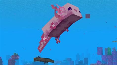 Leucistic Axolotl Minecraft