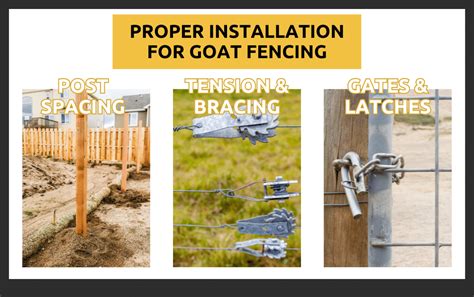 Do Goats Need Special Fencing? Considerations for Goat Owners ...