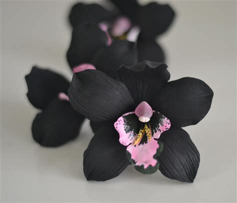 Black Orchid wallpapers, Comics, HQ Black Orchid pictures | 4K ...