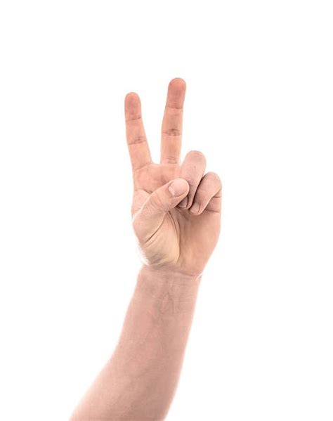 Two Fingers Human Hand Symbols Of Peace Peace Sign Pictures, Images and Stock Photos - iStock