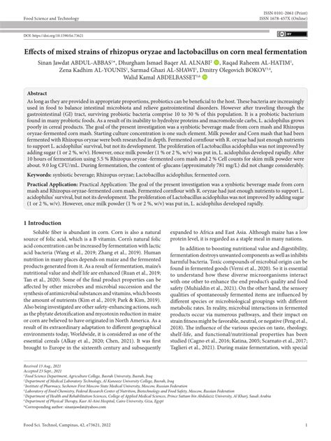 (PDF) Effects of mixed strains of rhizopus oryzae and lactobacillus on corn meal fermentation