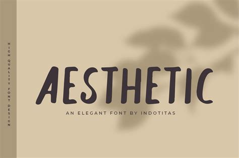 Aesthetic Font Display Fonts Creative Market - IMAGESEE