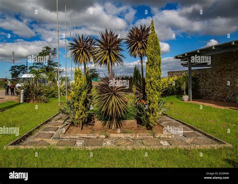 Flowers and trees at the Nelson Mandela Museum in Qunu in South Africa ...