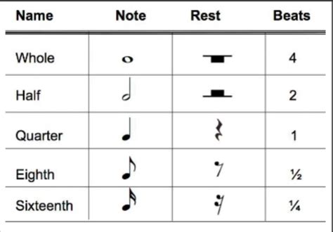 how many beats a while note receive - Brainly.ph