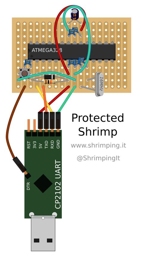 shrimp_stripboard