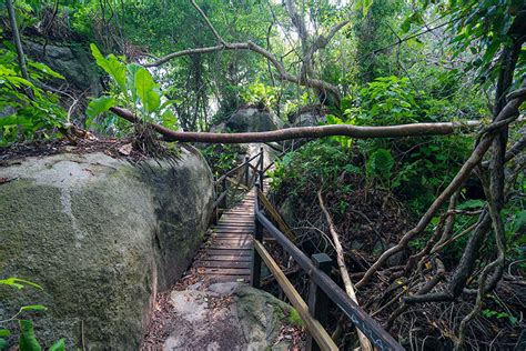 Camping In Tayrona National Park – A Pack and A Map