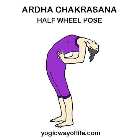 rasa yoga cafe...: Ardha Chakrasana – Half Wheel Pose.