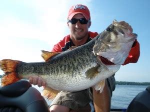 Como a Instalação de uma Sonda Carolina | Configurar a Sua Linha para Pesca do Robalo | Lima