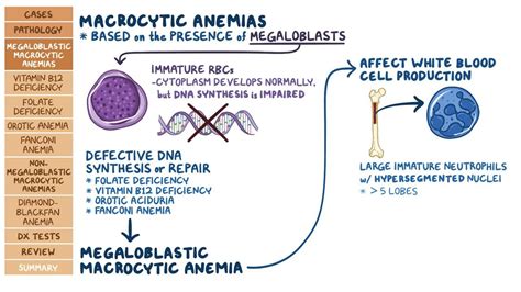 Non Megaloblastic Anemia