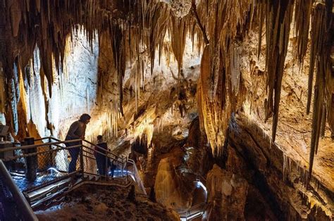 Hastings Caves State Reserve | Tasmania. A magical underground dolomite ...