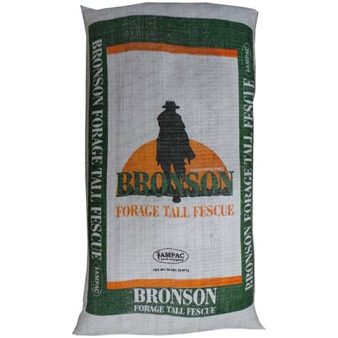 Bronson Tall Fescue Grass Seed - Excellent Pasture Grass Seed Endophyte Free | Seed World