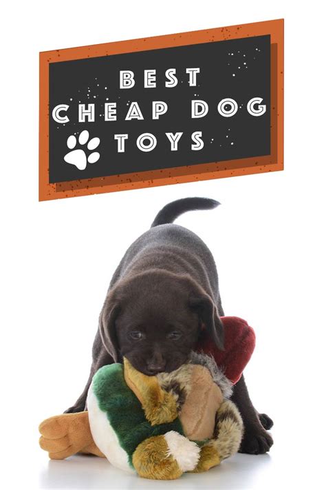 Cheap Dog Toys: Finding The Best Most Affordable Toys For Your Dog ...