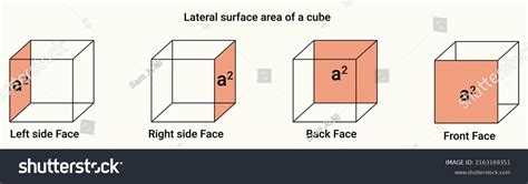 Lateral Surface Area Cube Stock Vector (Royalty Free) 2163169351 | Shutterstock