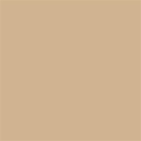 HGTV HOME by Sherwin-Williams Dromedary Camel Interior Eggshell Paint Sample (Actual Net ...