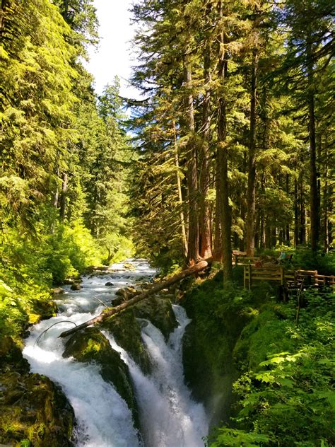 Last summer I had the privilege of visiting Olympic National Park. Sol Duc Falls was one of my ...