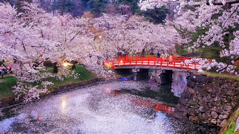 1920x1080 Japan Wallpapers - Top Free 1920x1080 Japan Backgrounds - WallpaperAccess