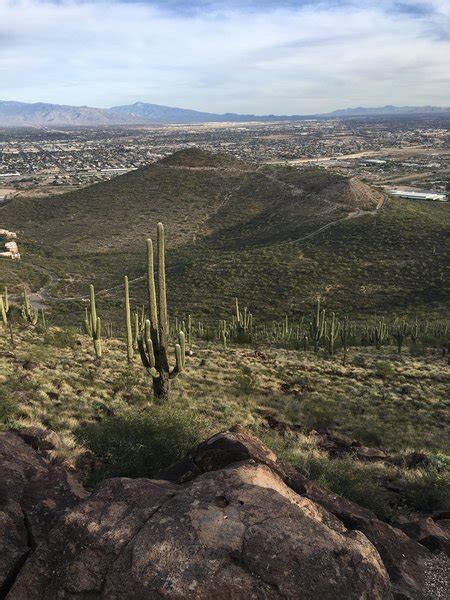 Tumamoc Hill Hiking Trail, Tucson, Arizona