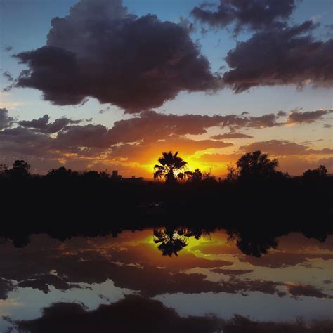 An Echo Park sunset, Los Angeles | (Instagram: peterbjork) | Flickr