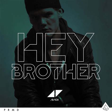 Avicii – Hey Brother – DEMAGAGA