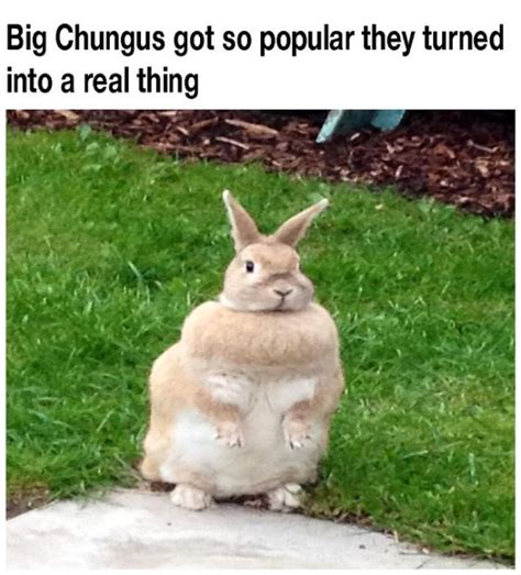 30+ Hilarious Big Chungus Memes | Big Fat Bugs Bunny is Here To Stay