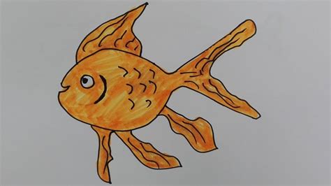 How to draw goldfish-draw a realistic goldfish-goldfish drawing easy ...