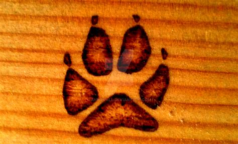 Coyote Paw Print by AnnaCall on DeviantArt