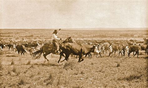 CATTLE TRAILING | The Handbook of Texas Online| Texas State Historical Association (TSHA)