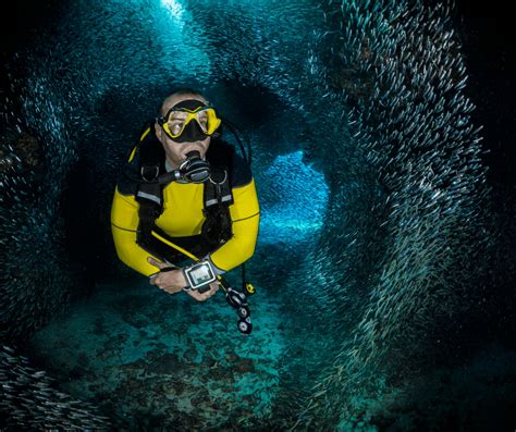 Your Guide to Scuba Diving in Florida