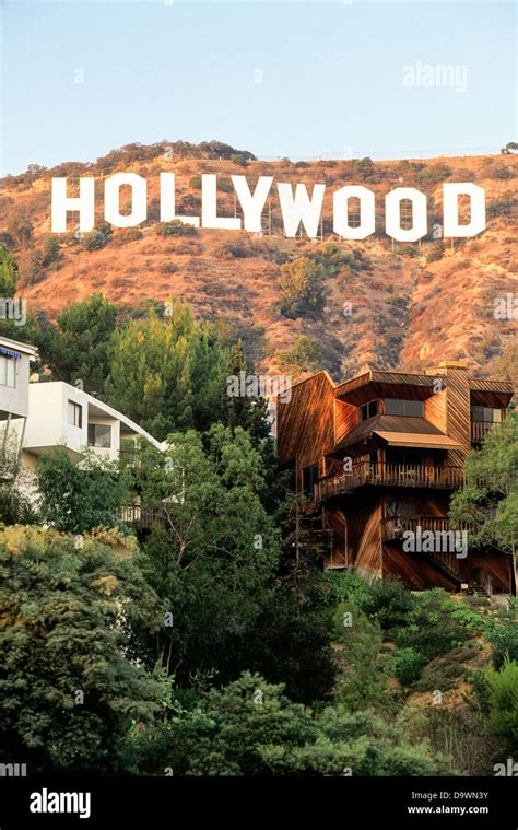 Hollywood Hills Sign Vector