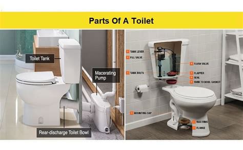 Toilet Seat Parts Kohler Cheap Deals, Save 41% | jlcatj.gob.mx