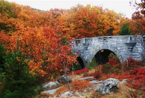 rhode island fall foliage - Google Search | National parks, Island ...