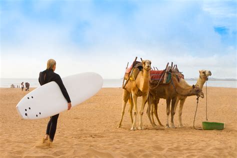 9 Fantastic Things to Do in Essaouira | Clickstay