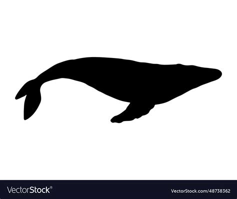 Humpback whale silhouette art Royalty Free Vector Image