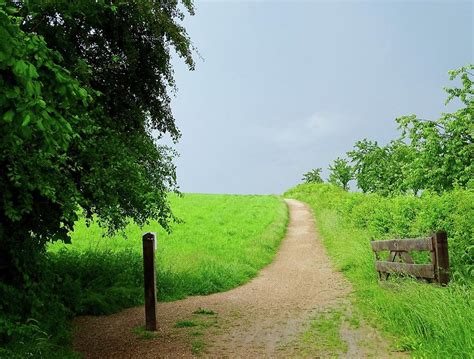 Country Walk Photograph by Chuck Stewart - Fine Art America