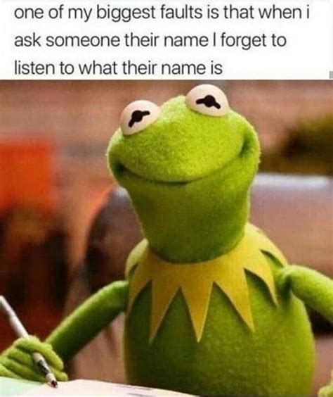 60 Funniest Kermit Memes - Meme Central