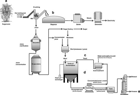 Simplified illustration showing bioethanol production and the main... | Download Scientific Diagram